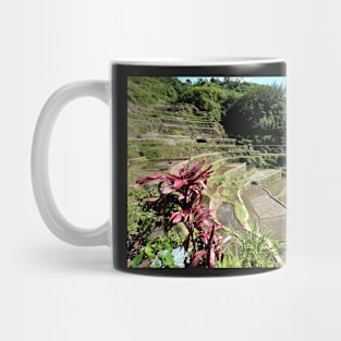 Rizières en terrasses Banaue, Philippines Mug